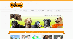 Desktop Screenshot of happylabs.info